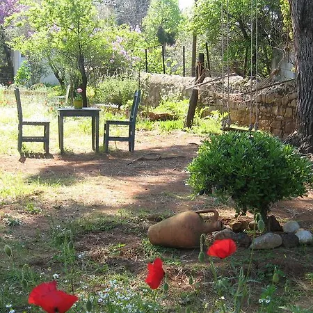 Dostlar