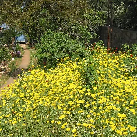 Habitación en casa particular Dostlar
