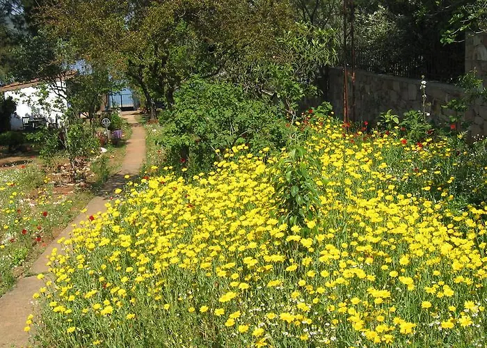 Rum i privatbostad Dostlar