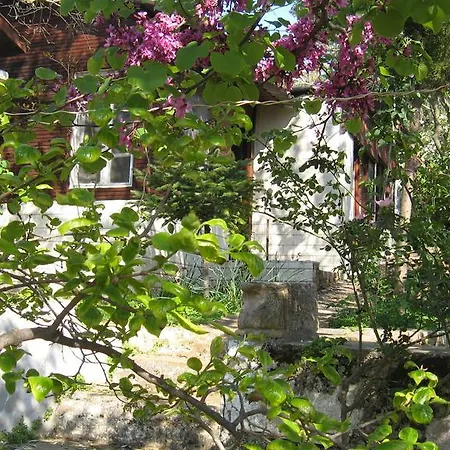 Dostlar Homestay szállás Ayvalı