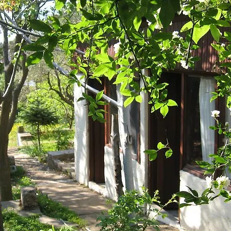 Dostlar Ayvalı