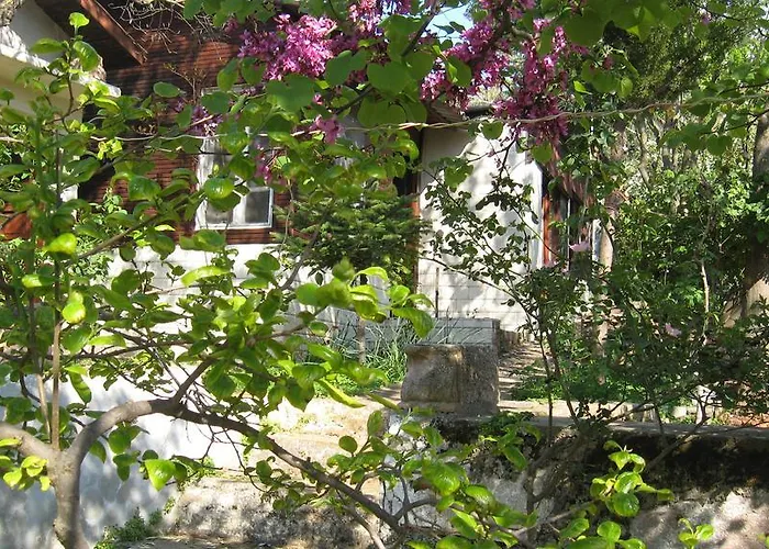 Dostlar בית אירוח Ayvalı